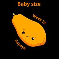 abf434a0b6e578a11b34cc3af3bdb3e5bf73be04.webp