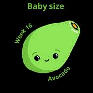 795f770fd11ace317946a662c5e1200f07a3de27.webp